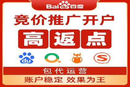 谷歌竞价广告的投放策略与成功案例分析